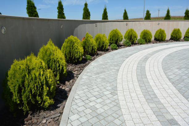 Best Driveway Paving Contractor  in Casa Blanca, AZ